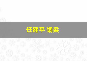 任建平 铜梁